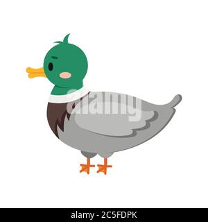 Duck farm bird isolated on white background. Stock Vector