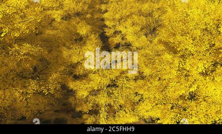 Aspen valley in Colorado during Autumn 3d rendering Stock Photo