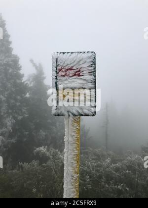 During morning walk captured fresh snow on path with all trees and sign covered full of snow everywhere and background is covered by white fresh snow Stock Photo