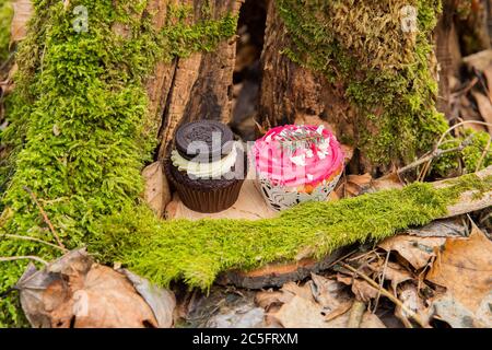 Cupcake cakes in the middle of forest on a moss dark cream with a biscuit and pink black cakes for a wedding ceremony Stock Photo