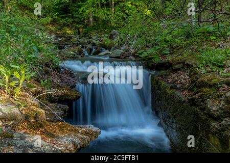 A mountain stream flowing through a landscape in a dense forest captured by long exposure time. Stock Photo