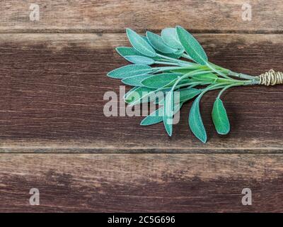 sage leaves viewed from above with wooden table background Stock Photo
