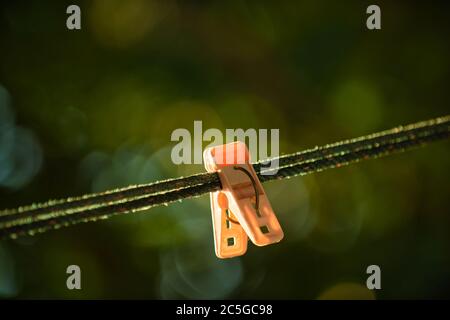 The light pink cloth clamps on the green nylon rope had morning rays shining on it and the background was blurred in green and with bokeh. Stock Photo