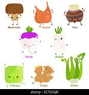 Cute vector of square shaped smiling fruit, vegetable with happy face - Turnip Shallot Daikon Taro Mushroom Cabbage Celery Ginger. Colorful set of foo Stock Vector