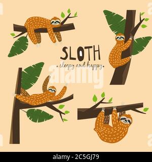 Set Cute funny sloth hanging on the tree. Sleepy and happy. Adorable hand drawn cartoon animal illustration. Vector cute sloth for greeting card Stock Vector