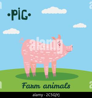 Cute Pig farm animal character, farm animals, vector illustration on field background. Cartoon style, isolated Stock Vector