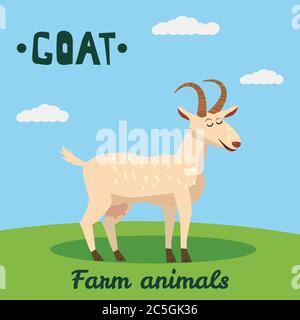 Cute Goat farm animal character, farm animals, vector illustration on field background. Cartoon style, isolated Stock Vector