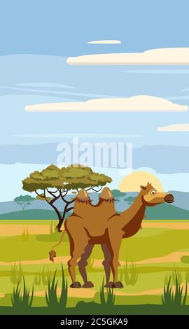 Camel cute cartoon style in background savannah Africa, isolated, vector Stock Vector