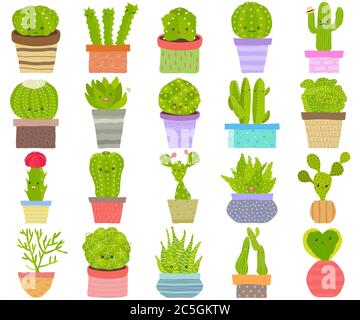 Vector set of cactus cacti aloe succulent plants with face in pot. Collection of flat styled hand drawn exotic houseplant. Cute illustration isolated Stock Vector