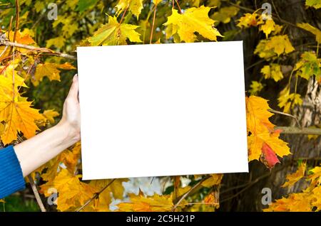 White empty signboard in front of colorful autumn leaves Stock Photo