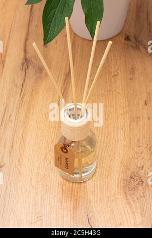 Aroma reed diffuser in the interior. Red rose flowers in vase on wooden table with copy space Stock Photo
