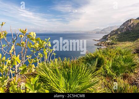 Beautiful bay in the Mediterranean with vegetation in the foreground Stock Photo