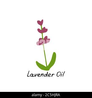 Lavender essential oil logo. Aromatherapy logo. Hand drawn Icon with hand written inscription. Aromatherapy, perfumery, cosmetics, spa logo. Stock Vector