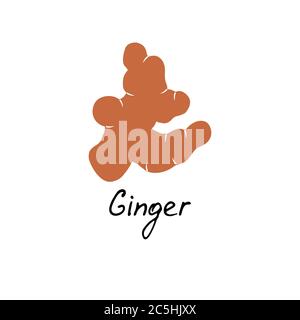 Ginger logo. Vector illustration with hand drawn ginger. Stock Vector
