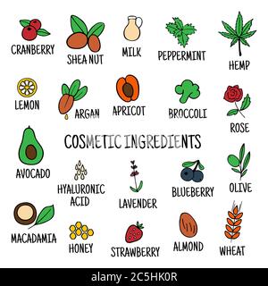Hand-drawn plants flowers herbs fruits vegetables, oils. Cosmetic ingredients set. Vector collection of icons Stock Vector