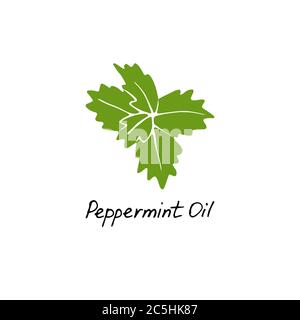 Mint green vector illustration. Hand drawn peppermint logo. Peppermint oil for cosmetic design Stock Vector