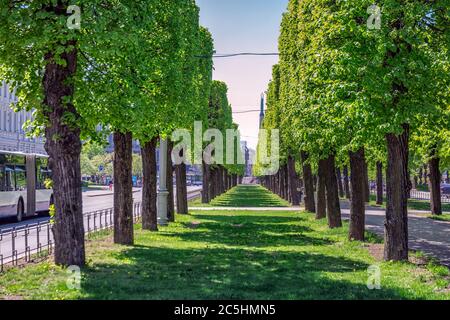Green park at summer time in Riga Old Town during sunset time. Stock Photo