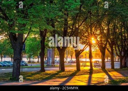 Green park at summer time in Riga Old Town during sunset time. Stock Photo