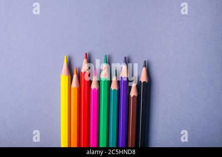 Multicolored pensils on a gray background. Pencils for school. Stock Photo