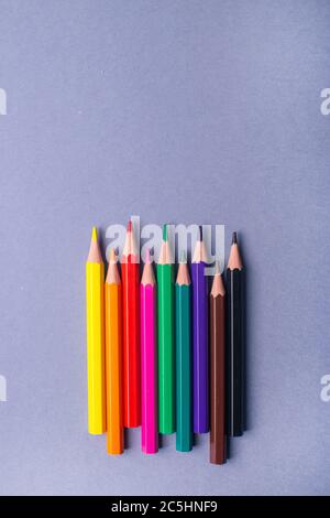 Multicolored pensils on a gray background. Pencils for school. Stock Photo