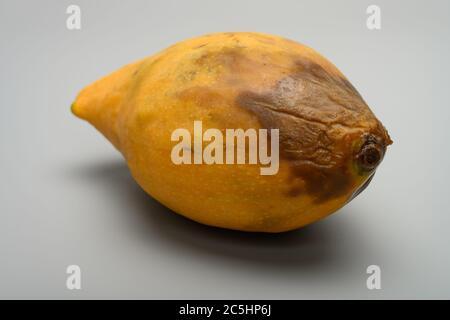 Three Pieces Rotten Mangos Close Up On A White Background Stock Photo,  Picture and Royalty Free Image. Image 126858260.