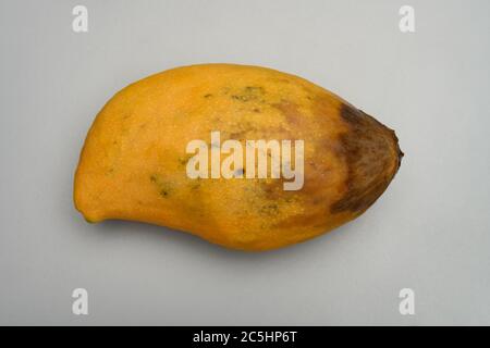 Three Pieces Rotten Mangos Close Up On A White Background Stock Photo,  Picture and Royalty Free Image. Image 126858260.