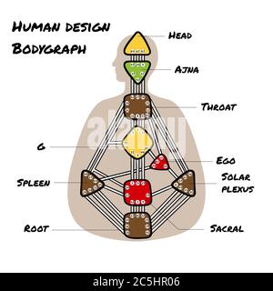 Nine energy centers. Head, ajna, throat, ego, solar plexus, sacral