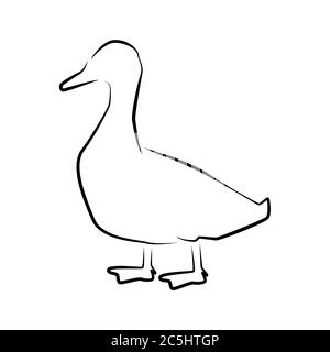 Duck outline simple icon. Farm water bird icon. Stock Vector