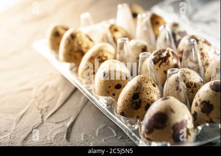 quail eggs in a plastic container on a gray background. Top view Stock Photo