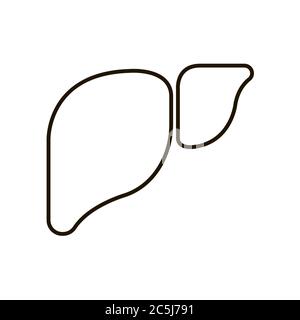 Human Liver Icon In Trendy Thin Line Style Isolated On White Background ...