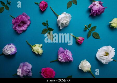 floral wallpaper - roses and lisianthus flowers on blue background Stock Photo