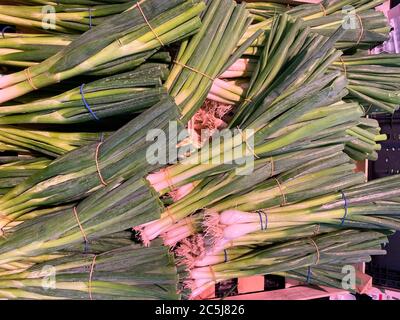 Close up of pile isolated bunches leek spring onions on german market Stock Photo