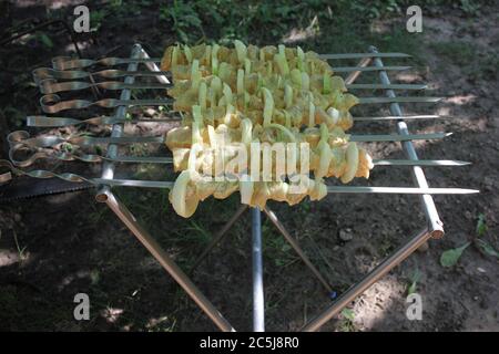 Raw chicken shish kebab on the grill in the summer garden. BBQ party. Close-up. Stock Photo