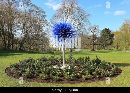 32 art installations were  situated across the Gardens in a wide variety of locations. As visitors enter through Victoria Gate, they saw  Sapphire Star, the individual blown glass forms of which will radiate outward to create a celestial visual experience. The vibrant blue colour of Sapphire Star is highly concentrated at the centre, where the individual glass elements meet and become increasingly opaque. The artwork’s translucent, achromatic tips reflect light and add to its intense radiance. Chihuly's work has been exhibited in more than 240 museums around the world in his 50 year career .