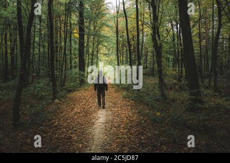 A man walking along a path through a dark forest Stock Photo