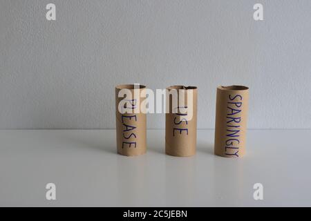 Please use sparingly sign written on three empty toilet paper rolls standing on wooden table against cement wall Stock Photo