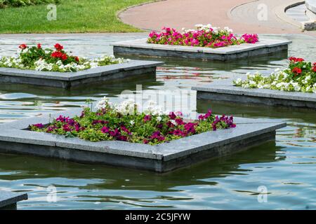 Flower beds are located in the water of the pond in a city park. Stock Photo