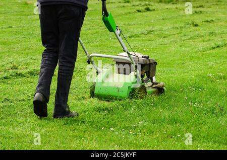 Gardener in action,  mowing green grass lawn with push mower Stock Photo