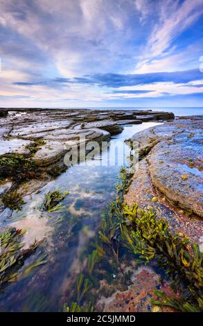 Sunset at Seaton Sluice a small stream runs between two plateaus of rock creating rock pools with seaweed. Stock Photo