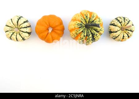 Little decorative pumpkins, winter squashes on white background. Autumn border Stock Photo