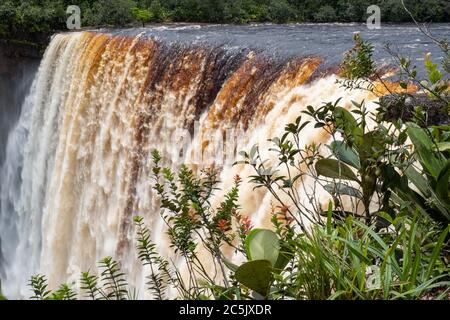 Kaieteur Falls on the Potaro River in the Kaieteur National Park, Guyana, South America. Largest waterfall in the world in height and volume Stock Photo