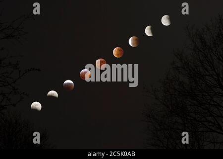 Total lunar eclipse sequence, including 'blood moon' at total eclipse. Stock Photo