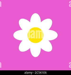 One beautiful daisy flower chamomile, side view and top view isolated on lilac background. Vector illustration. Stock Vector