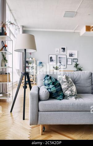 gray sofa and floor lamp in the interior. Stock Photo