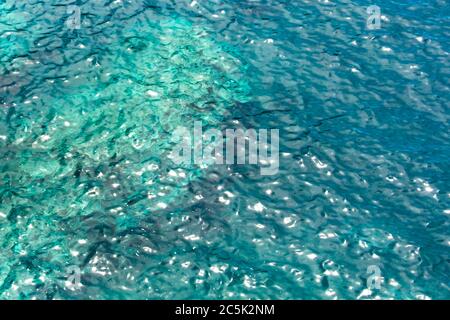 blue,aquamarine seawater, transparent, glowing water, background, texture or abstraction. Stock Photo