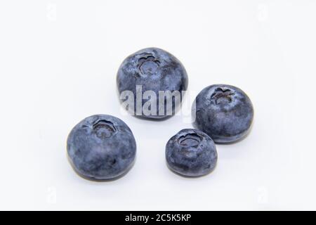 Fresh blueberry on white background.  A composition of the four blueberries which is organic and healthy. The berry full of vitamins. Stock Photo