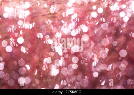 Background bokeh loop Christmas pink lights red animation Water sun blurry abstract Elegant snowflakes winter animated coral Seamless White theme glit Stock Photo