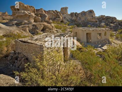 Creosote bushes at ruins of adobe houses near abandoned mines in Three Dike Hill area at Bofecillos Mountains in Big Bend Ranch State Park, Texas, USA Stock Photo