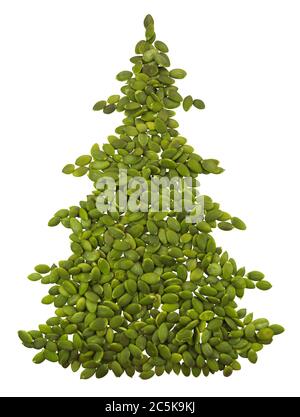 Spruce made from pumpkin seeds isolated on white. Clipping Path included. Stock Photo
