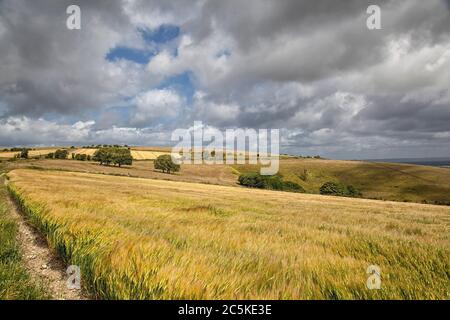 South Downs Way near Steyning Stock Photo